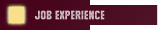 Job Experience