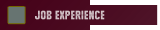 Job Experience